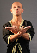 wing tsun kung fu