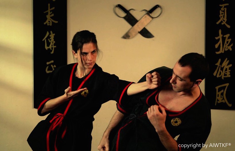 wing tsun kung fu - Applications